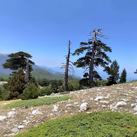 La Perla Del Dolcedorme *