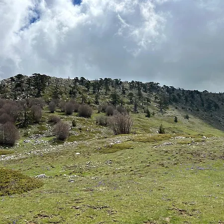 La Perla Del Dolcedorme Bed & Breakfast