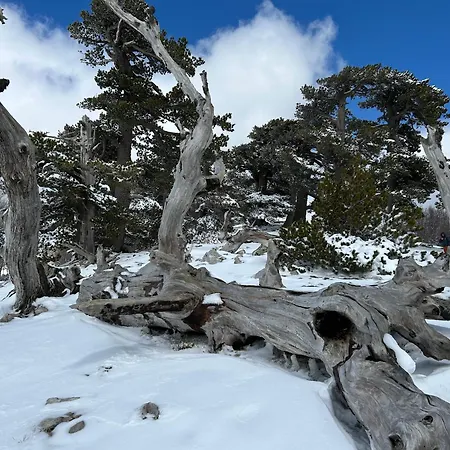 La Perla Del Dolcedorme Bed & Breakfast San Lorenzo Bellizzi