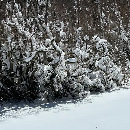 Bed & Breakfast La Perla Del Dolcedorme San Lorenzo Bellizzi