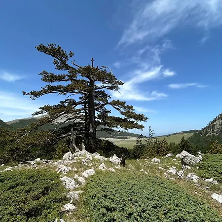 La Perla Del Dolcedorme *