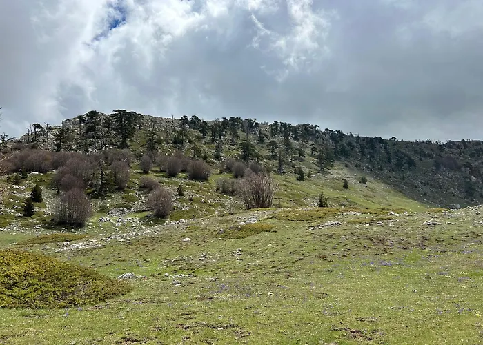 La Perla Del Dolcedorme Oda ve Kahvaltı