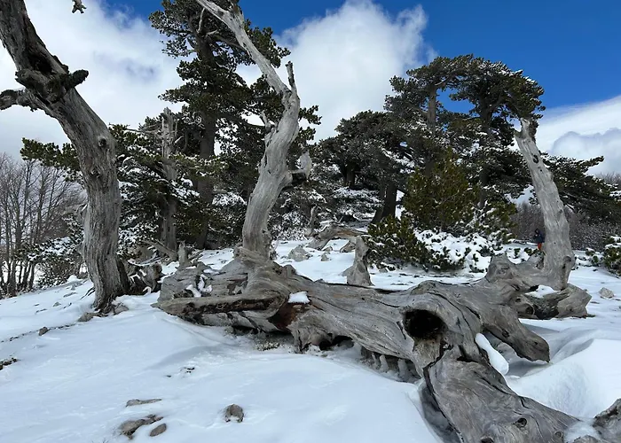 La Perla Del Dolcedorme Oda ve Kahvaltı San Lorenzo Bellizzi