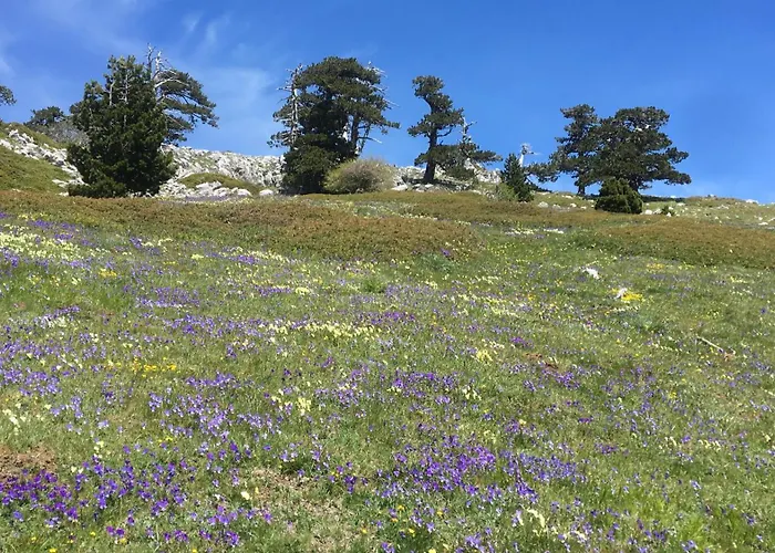 La Perla Del Dolcedorme *