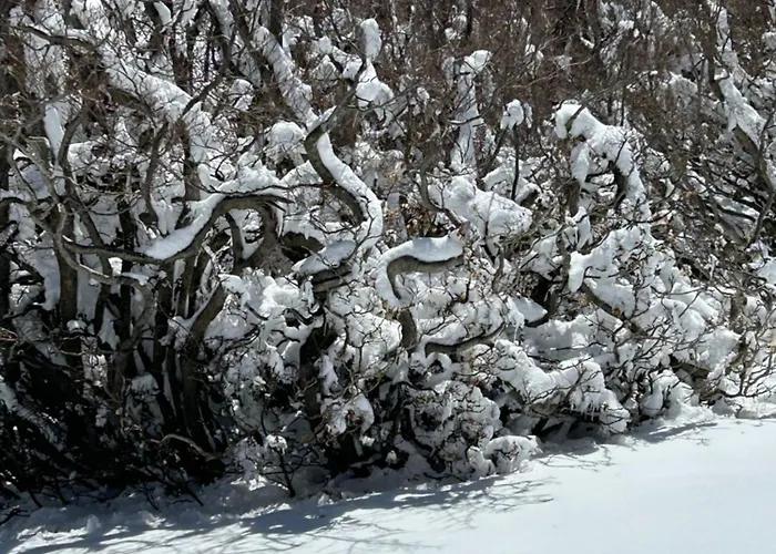 Oda ve Kahvaltı La Perla Del Dolcedorme San Lorenzo Bellizzi