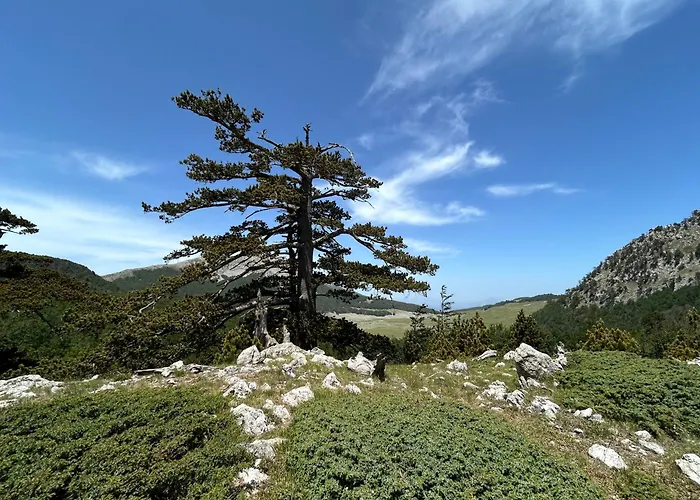 La Perla Del Dolcedorme *